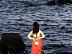 -星海湾跨海大桥