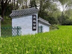 -北坞公园