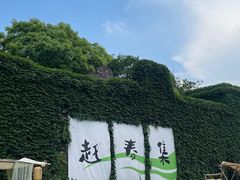 -乌镇景区