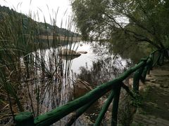 -鲁山国家森林公园