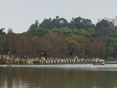 -东莞植物园