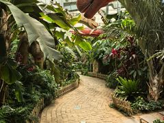 -沈阳植物园