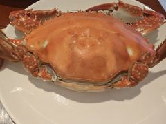 -黄嘉喜来登酒店·盛宴标帜西餐厅