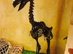 -信不信由你博物馆