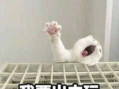 -南山文体中心-游泳馆