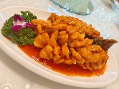 松子鱼尾-旭龙鱼头王(航华店)