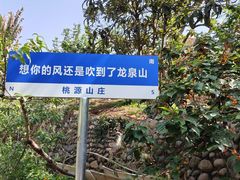 -桃源山庄·水蜜桃采摘·柴火鸡·烧烤团建(龙泉山店)