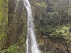 -大鄣山卧龙谷景区
