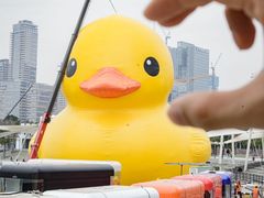 -深圳人才公园