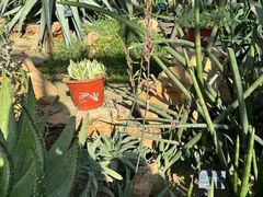 -国家植物园南园