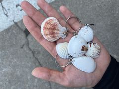 -北戴河东海水浴场