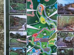-石排湾郊野公园