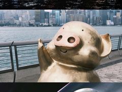 -星光大道