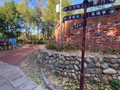 -云岗森林公园