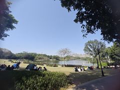 -东莞植物园
