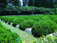 景点-十九路军淞沪抗日阵亡将士陵园