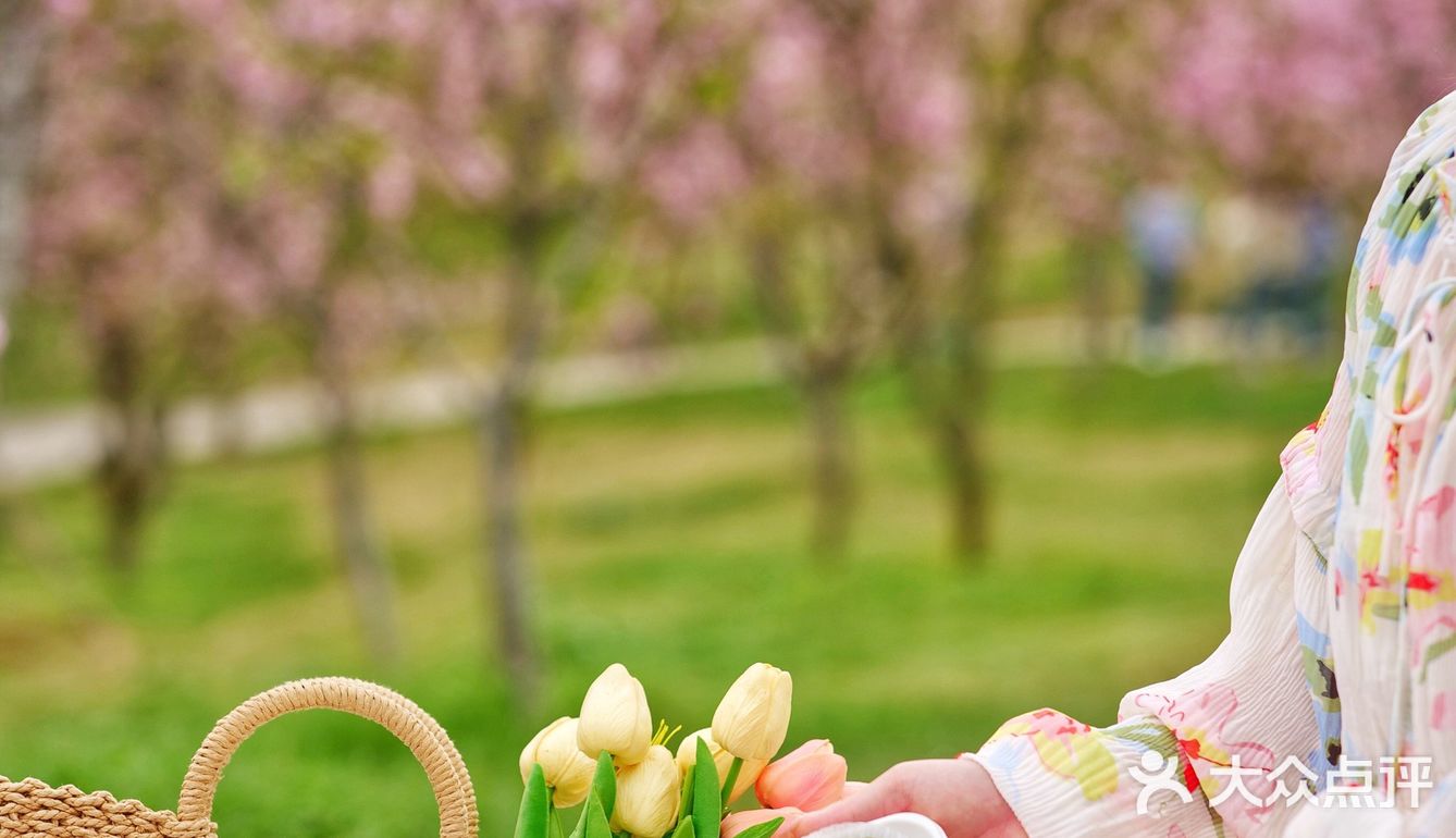 有些食物就是为春天而生的啊!
