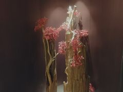 -龙宴海鲜城(经中路店)