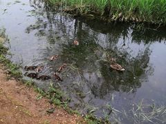-前关湿地公园