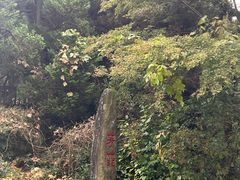 -庐山风景区花径公园