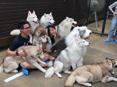 -TrueLove @ Neverland (Husky Cafe)