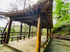 -罗田天堂寨风景区