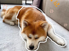 -王四营海鲜市场