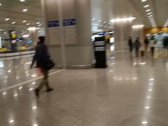 -龙阳路磁悬浮列车总站-停车场