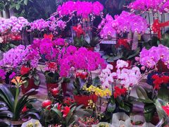 -三旗百汇商品城