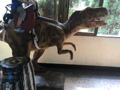 -自贡恐龙博物馆