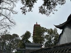 -宝光寺