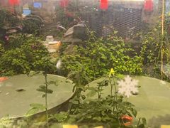 -金谷园饺子·烧烤(人大总店)