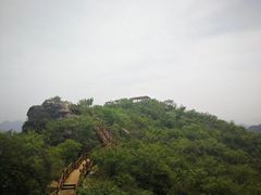 -大岭沟猕猴桃谷风景区