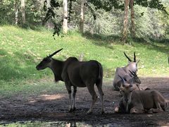 -北京野生动物园