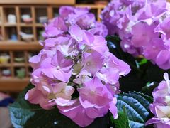 -今日陶艺(富力广场店)