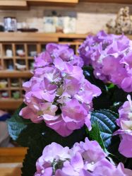 -今日陶艺(富力广场店)