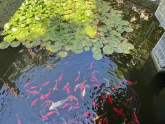 -昆明洲际酒店