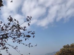 -广州市石门国家森林公园