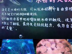 -正佳极地海洋世界