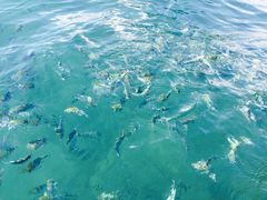 -金巴兰海滩烛光bbq