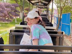 -武汉紫薇都市田园