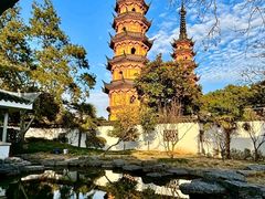 -蟹天蟹地农家菜·阳澄湖大闸蟹(浅水湾店)