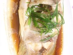 清蒸鲈鱼-同庆楼(滨湖万达广场店)