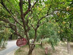 -刘青霞故居(宋都皇城旅游度假区)