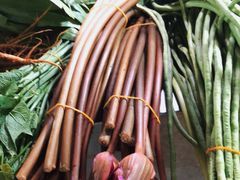 -鸿港海鲜批发市场