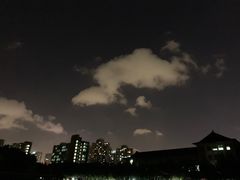 -木及咖啡