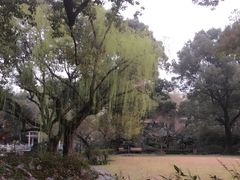-申粤轩酒楼·三十年粤菜经典(丁香花园店)