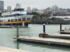 -Swiss Louis Italian & Seafood Restaurant