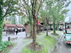 -黄海国家森林公园