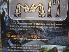 -国家自然博物馆